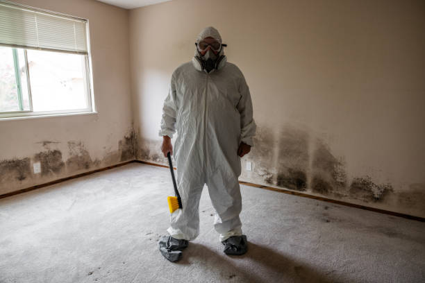 Best Mold Removal and Inspection  in Pen Mar, PA